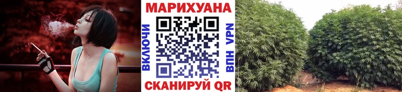 OMG вход  Окуловка  Бошки марихуана сатива 